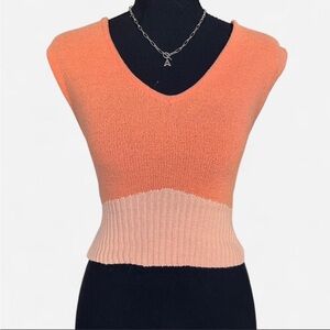 Gilded Intent Orange and Peach Crop Top